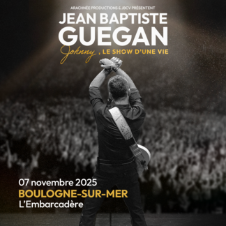 Johnny, le show d’une vie