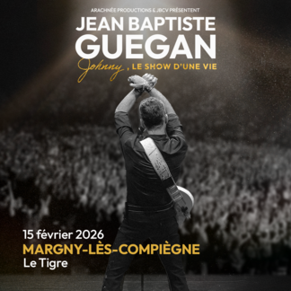 Johnny, le show d’une vie